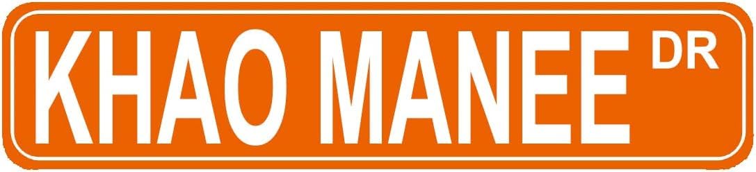 peiyeety Vintage Metal Tin Sign Khao Manee Dr Retro Street Sign, Rustic Wall Decor for Home, Cat Lover Decor, Man Cave, Garage, Kitchen, Office, Farmhouse, Patio, Garden, Porch, 4 * 16 inch