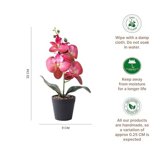Image of Habere India-All the Cultures Fabricating India Red Orchid Artificial Plant with Pot for Home Decor | Small Fake Plant for Living Room & Indoor Decoration (Design05: L9 x W9 x H32 cm)