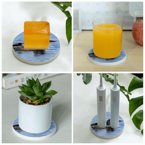 Sous-verres ronds en diatomite Loon Birds anti-trace d'eau table - 7