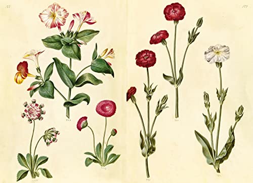 The Green Florilegium