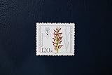 blaue orchideen kaufen berlin -Berlin Robbert´s Briefmarken Berlin MiNr. 727, Wohlfahrt : Orchideen Wanzen-Knabenkraut, postfrisch