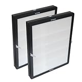 Confezione da 2 filtri HEPA H13 a 3 stadi di filtrazione (un filtro di ricambio è un'unità combinata che contiene il prefiltro a rete, il filtro HEPA ad alta efficienza e il carbone attivo tutto in uno)