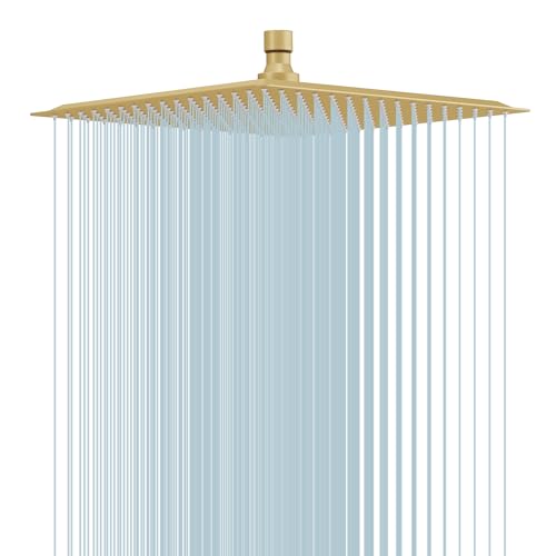 BESy 12 Inch Rain Shower Head, 12