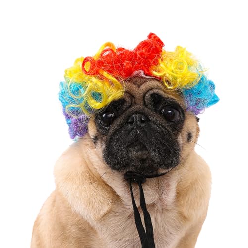 zhxinashu Dog Wig Cat Wigs Funny Rainbow Curly Pet Wigs for Small Medium Large Dogs Pet Cosplay Costume for Christmas Halloween