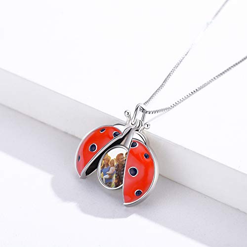 Ladybug Locket Necklace That Holds Pictures 925 Sterling Silver Ladybug Necklace Jewelry Gifts for Women Mother Birthday2