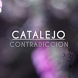  Contradicción