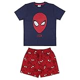 Colección Spiderman - completa tu look veraniego con nuestra colección de Spiderman y ¡conviértete en la envidia de tus amigos!