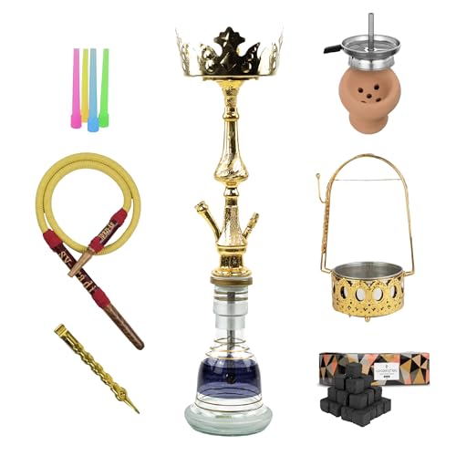 Shisha Traditionnel Narmer 70 cm | Chicha en Laiton Doré et Verre | Porte-Charbon, 1kg Charbon Cocobration 27mm et 50 Embouts Jetables | Set Complet Prêt à...