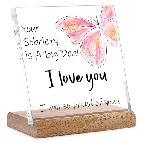 Regalos de sobriedad para mujeres, hombres, mujeres, regalos sobrios de 1 año, mejores regalos de sobriedad, regalos de recuperación, Your Sobriety is a Big Deal I am Proud of You, placa decorativa de