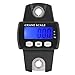 Kikumi Crane Scales Portable Digital Accurate Multifunction Ale Industrial Electronic Hanging Scale (Black)
