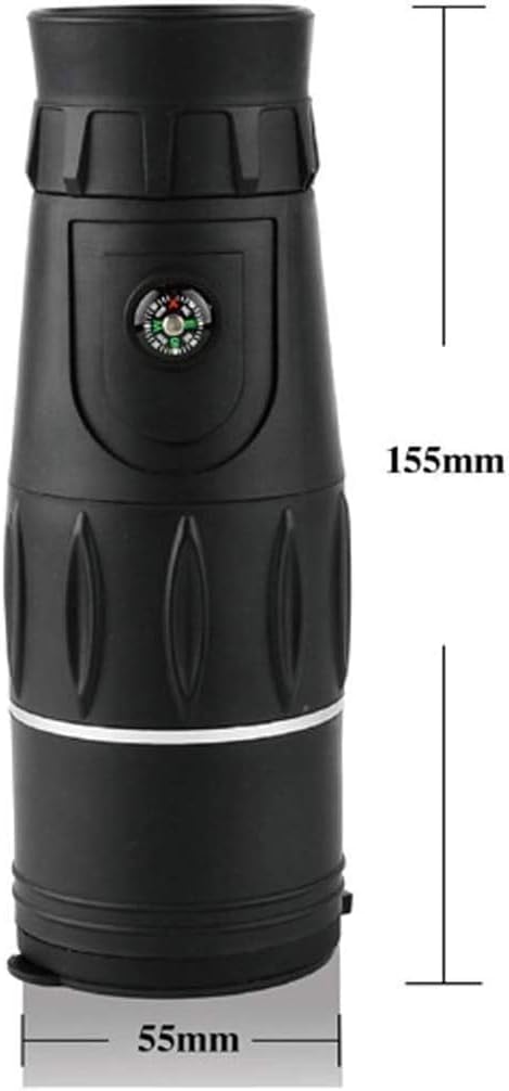 極 飴色の縫合線が見事なアンモナイトの女王 インターメディウム 化石