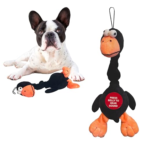 SPOT Chirpies Plush Dog Toy – Bird Sound Squeaky Toy for Small and Medium Dogs, Light to Moderate Chewers, Stretchy Bungee Neck, Recycled Stuffing – 14 in, Assorted Styles