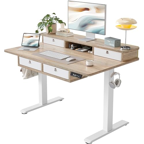 TIQLAB 48 * 28 Inch Standing Desk with Four Drawers, Electric Sit Stand Table, Stand Up Desk...