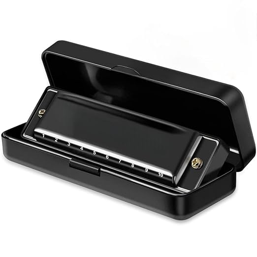 10 Holes 20 Tones Profession Key of C Harmonica,Mouth Organ and Professional Harmonica for Kid,Adult,Player
