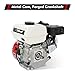 LIAPDG 200CC 6.5Hp 4 Stroke Gas Engine, Pull Start Petrol Engine Replaces Compatible for Honda Gx160 Air Cooled Single Cylinder General Gas Engine for Pumping Cleaning Spraying Machines
