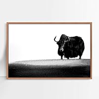 Framed Canvas Wall Art Black Bison Canvas Prints Home Artwork Decoration for Living Room,Bedroom - 16x24 inches