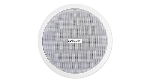 Ecler IC8 In-Ceiling/-Wall Speaker