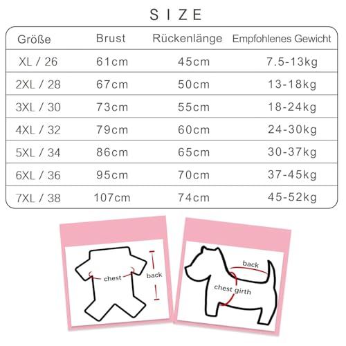 Kukaster Hundebody Nach Op