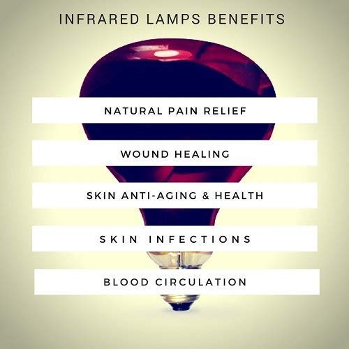 Image of Murphy ML-004 Infrared Heat Therapy Lamp (Black) - (Pack of 6)