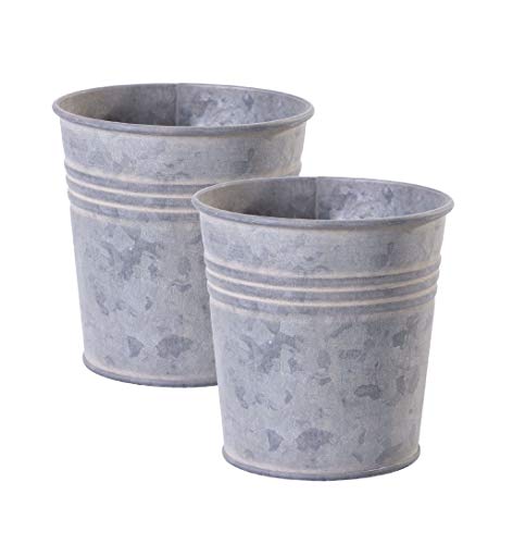 Jinfa | Maceta metálica en Zinc galvanizado | Altura: 7,5 cm - Diámetro 9,3 cm | 2 macetas de Metal galvanizado con Relieve 3D | Maceta para jardín, Ventanas, decoración con Relieve 3D
