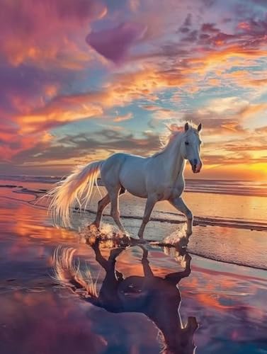 Diamond Art Cristal Plage et Cheval | Grand Format Broderie Diamant Adulte