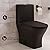 Sublime II One-Piece Round Toilet Dual-Flush 1.1/1.6 gpf in Matte Black