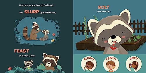 You Are a Raccoon! (Meet Your World) - Image 4