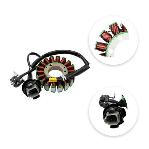 Stator de moto haute performance pour Sea-Doo Challenger