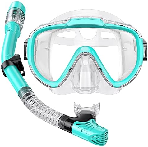 Seovediary Snorkel Set Adults Snorkeling Gear Anti-Fog Panoramic View Swim Mask Dry Top Snorkel Kit with Travel Bag for Snorkeling Scuba Diving Swimming Travel