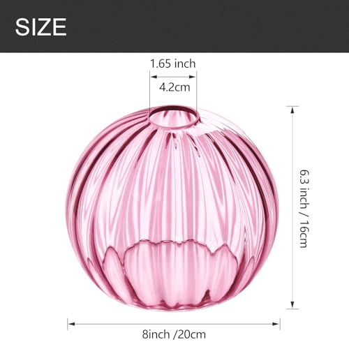 Image of Clear Glass Shade,Replacement Globe & Cover for Lighting Fixture, 8 inch Diameter, Replacement with 1.65 Inch Fitter for Wall Lamps Chandeliers or Ceiling Light (2, 8Inch - Pink Glass)