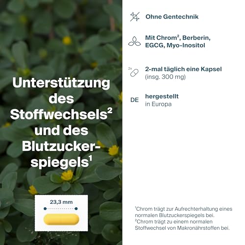 BLUTZUCKER KOMPLEX – 30 Kapseln mit Chrom zur Regulierung des Blutzuckerspiegels | Mit ALA, Grüntee-Extrakt EGCG, Berberin & Myo-Inositol | Unterstützt Stoffwechsel & Energie | Vegan & glutenfrei