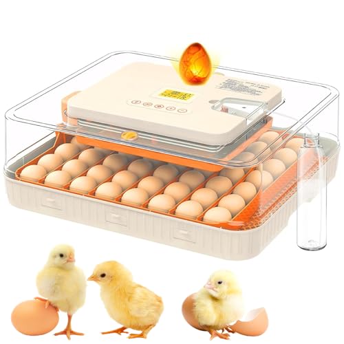 56 Pieces Egg Incubator for Eggs