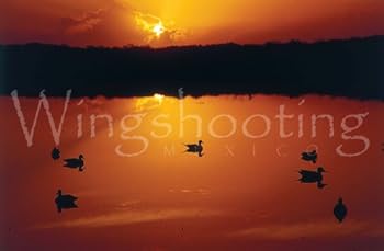 Paperback Wingshooting Mexico [Spanish] Book