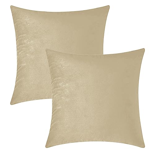 Image of HOKIPO Velvet Cushion Cover 24x24 in / 60x60 cm, Ivory, Pack of 2 (IN-579-IVRY-24IN*2)
