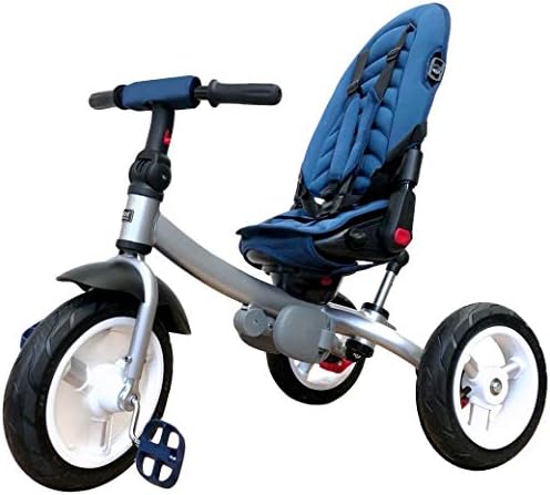 Little Tiger 4 in 1 Kids Children Trike 