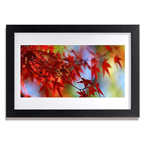 Affiche encadrée nature pour salon et chambre cadre MDF 30x20