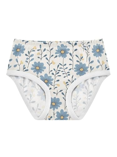 ZZKKO Farmhouse Blue Daisy Floral Girls Underwear Toddler Panties for Girls Comfort Brief Size 2T