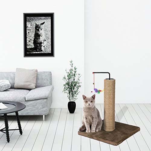 Moldura para escalada de árvore de gatos para animais de estimação, brinquedo com brinquedo de sino