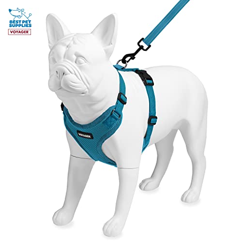 Image of Best Pet Supplies Voyager Step-in Lock Pet Harness w Reflective Pet Leash Combo Set with Neoprene Handle 5ft - Supports Small, Medium and Large Breed Puppies /Cats - Turquoise Set, XS