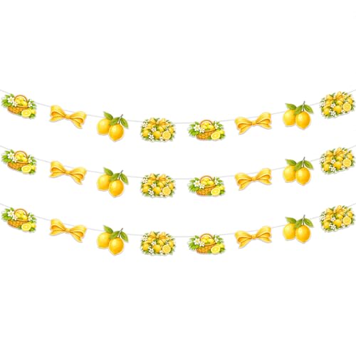 Bannière de fête citron jaune : la solution pour une décoration de buffet réussie - 2