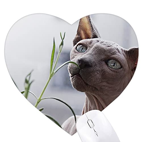 Tapis de souris chat gris mince en forme de coeur pour bureau