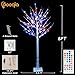 Pooqla 5 ft RGB Lighted Birch Tree, Color Changing Light Up Tree with Remote, 35 Colors Artificial Christmas Multicolor Lighted Birch Indoor Outdoor Party Yard New Year Thanksgiving Christmas Decor