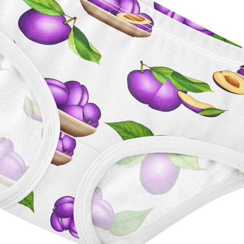 Purple Plums Toddler Girls's Underwear 2T 202c17584