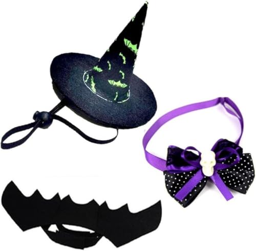 GEBYUI nEBybgRXv 3 _ZbgLppybgXREtւ킢蕨ʐ^BeObYybgEFARX`[ɍœK?