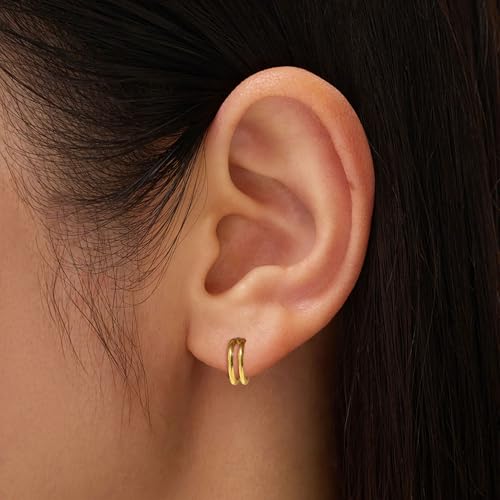 2 PCS Small Cartilage Double-Hoop Helix Conch Piercing Earrings With Cubic Zirconia For Women Trendy 14K Gold Plated Titanium Surgical Stainless Steel Sets Jewelry4