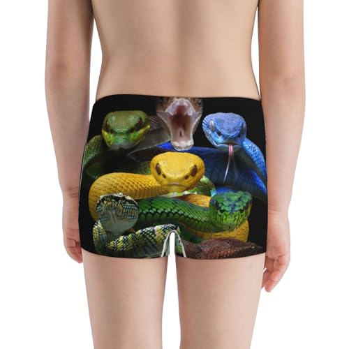 Boys' Cotton Boxer Brief Soft Underwear-Colorful Viper Snake3
