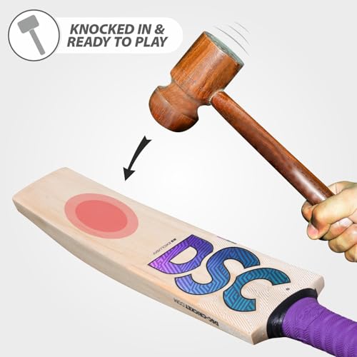 Image of DSC RS Exclusiv Kashmir Willow Cricket Bat