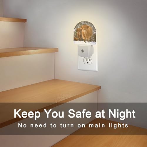 Image of Highland Cow Night Light for Kids, Winter Wild Animals Night Light Plug in with Dusk to Dawn Sensor, 0.5w Energy Saving Sleep Friendly Nightlight for Hallway Stairway Kitchen Bedroom