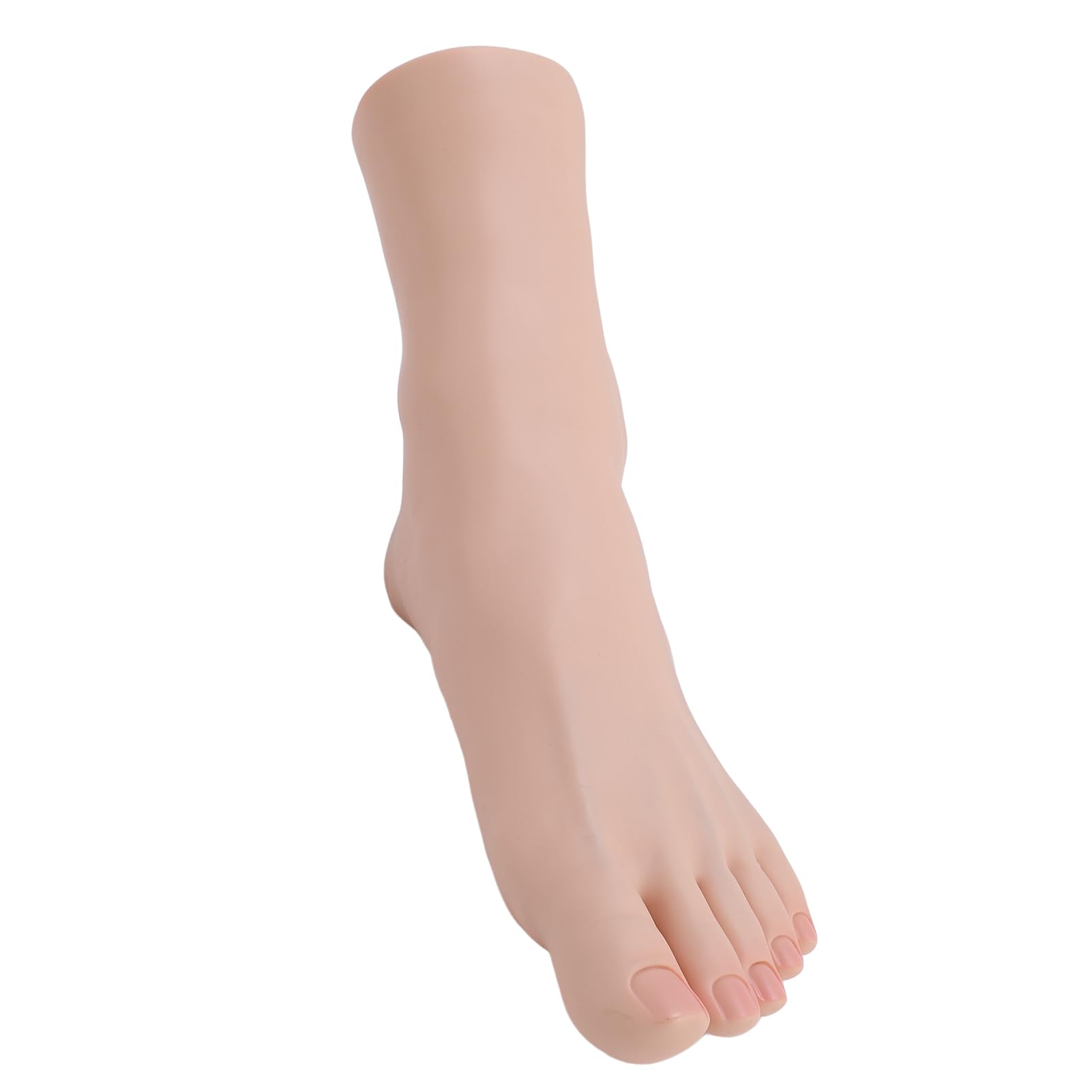 Manichino del Piede in Silicone con Strutture Muscolari e Ossee Realistiche
