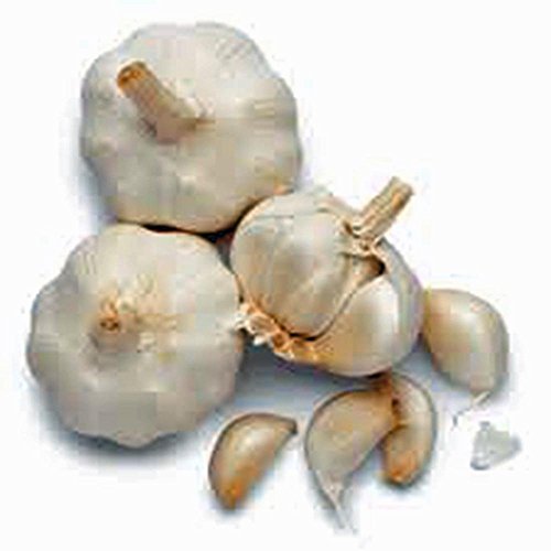 Garlic Bulb (7 Pack), Fresh California Softneck Garlic Bulb For Planting And Growing Your Own Garlic Or Great For Eating And Cooking #TOP1